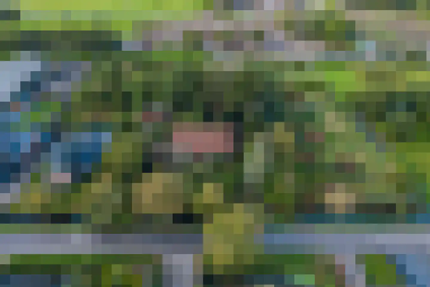 Verlaatsweg 62 Spierdijk thumbnail 44