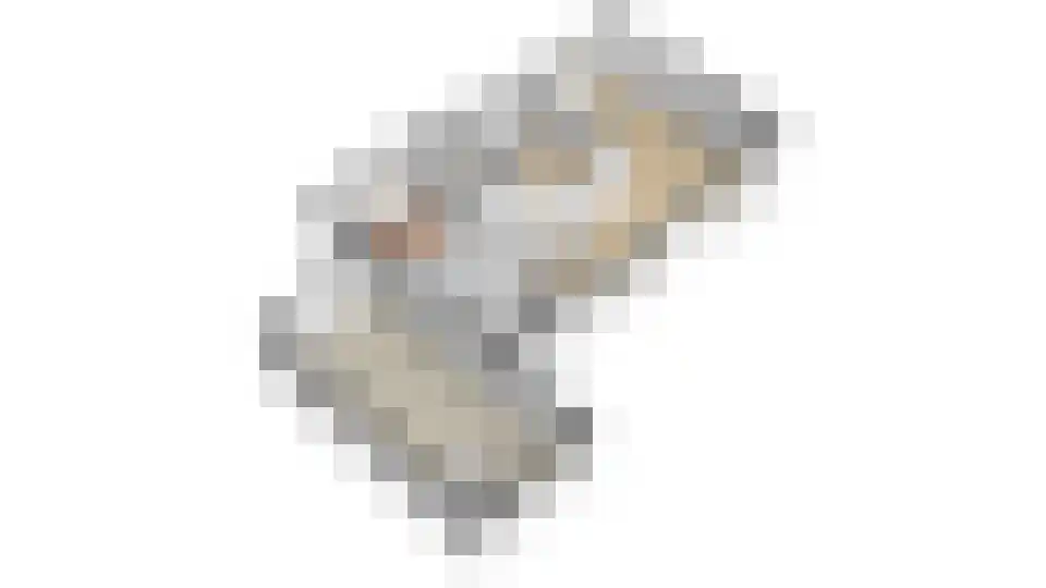 Verlaatsweg 62 Spierdijk thumbnail 47