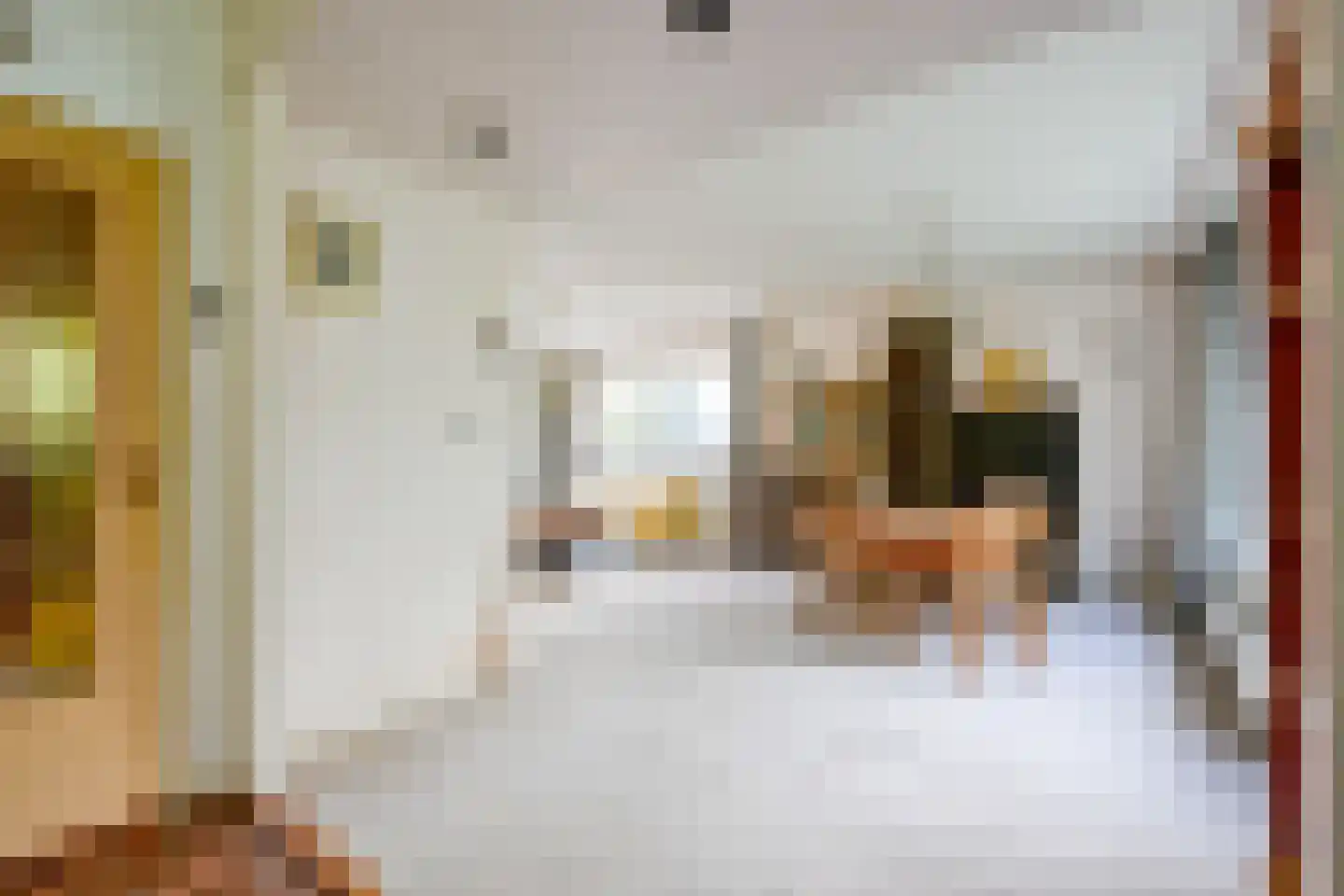 Verlaatsweg 62 Spierdijk thumbnail 8