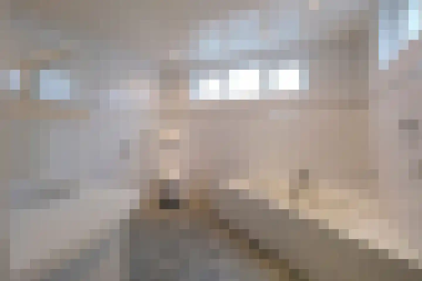 Verlaatsweg 63 Spierdijk thumbnail 6