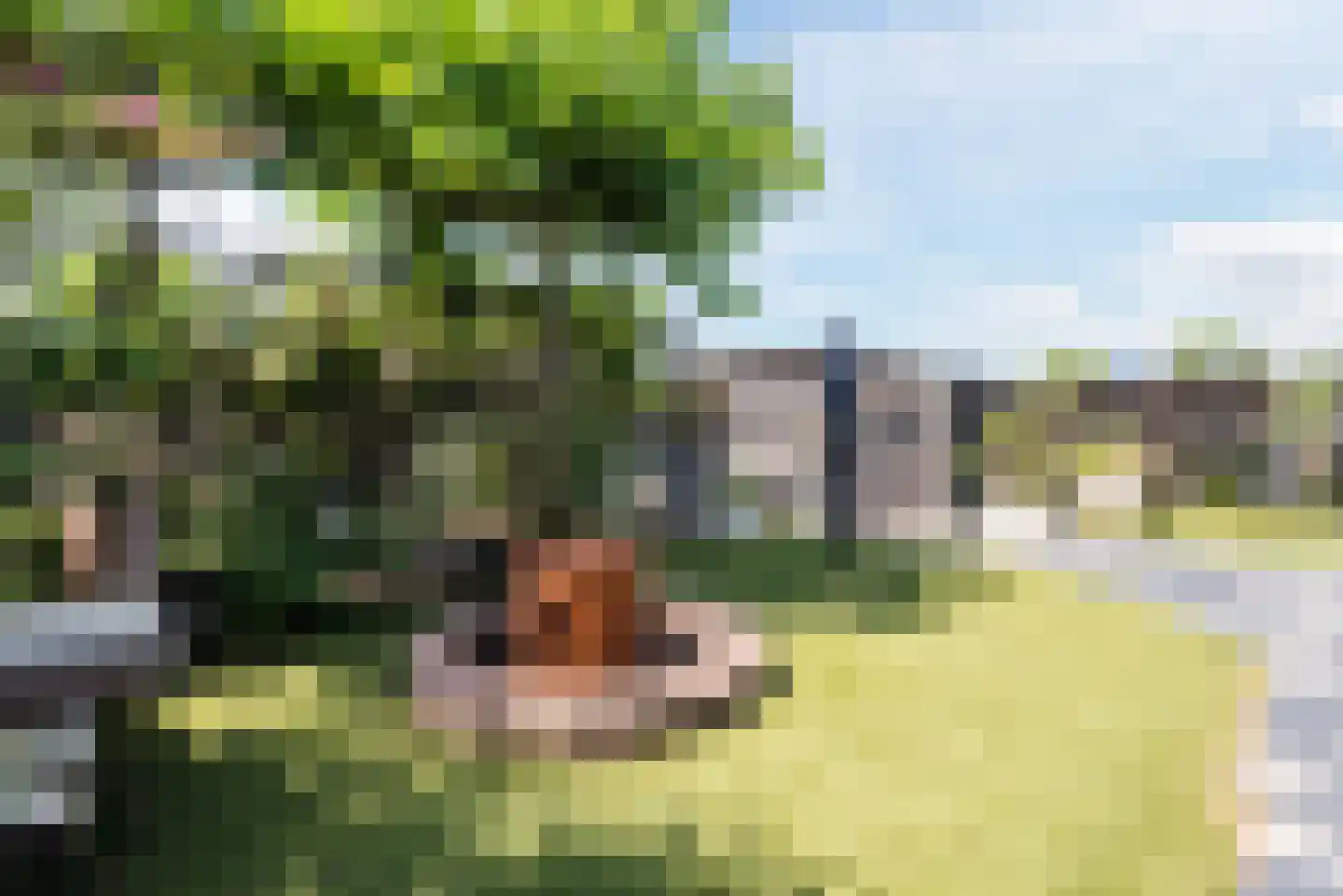 Verlaatweg 3 Lelystad thumbnail 131