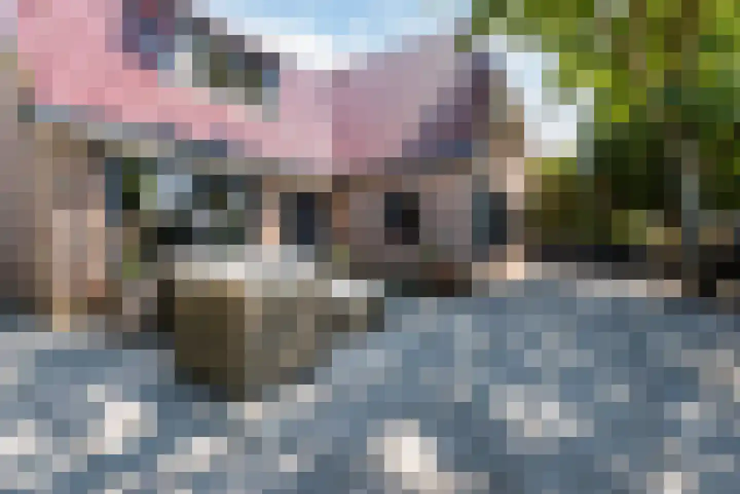 Verlaatweg 3 Lelystad thumbnail 14