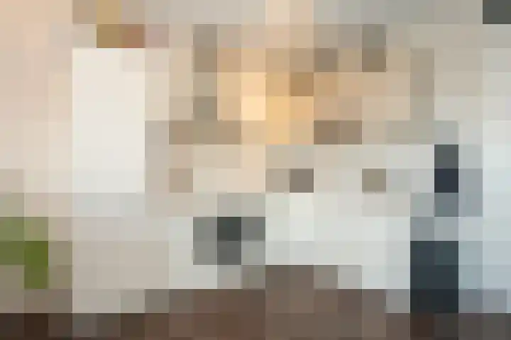 Verlaet 22 Den Burg thumbnail 11