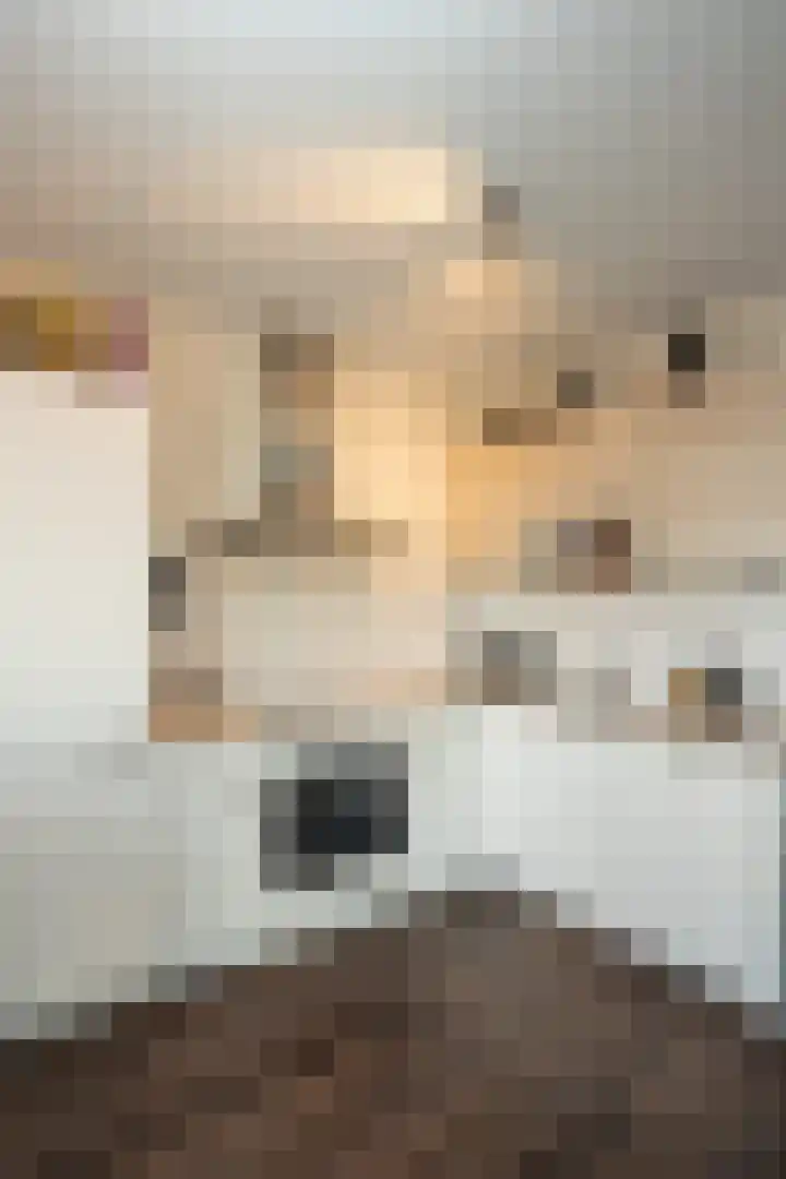 Verlaet 22 Den Burg thumbnail 13