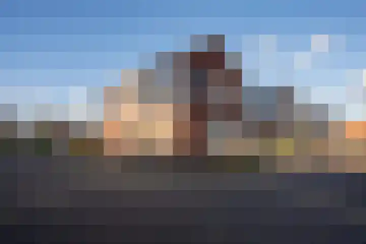Verlaet 22 Den Burg foto 2