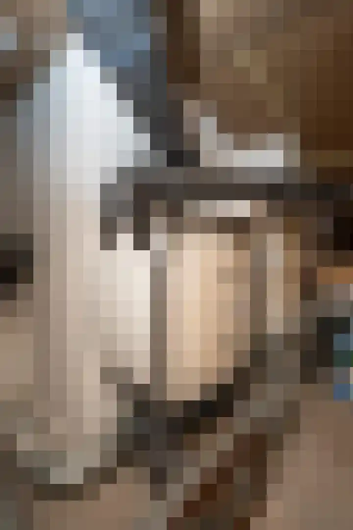 Verlaet 22 Den Burg thumbnail 27