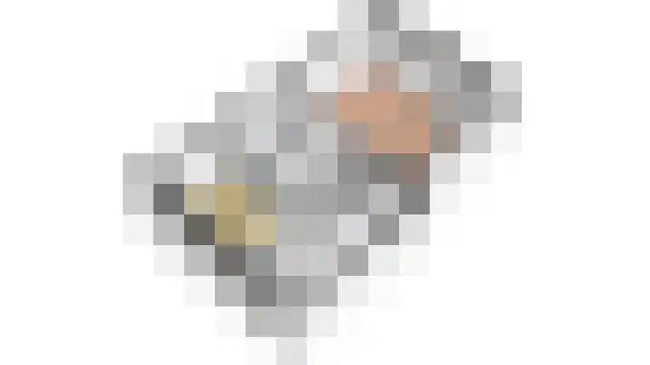 Verlaet 22 Den Burg thumbnail 35