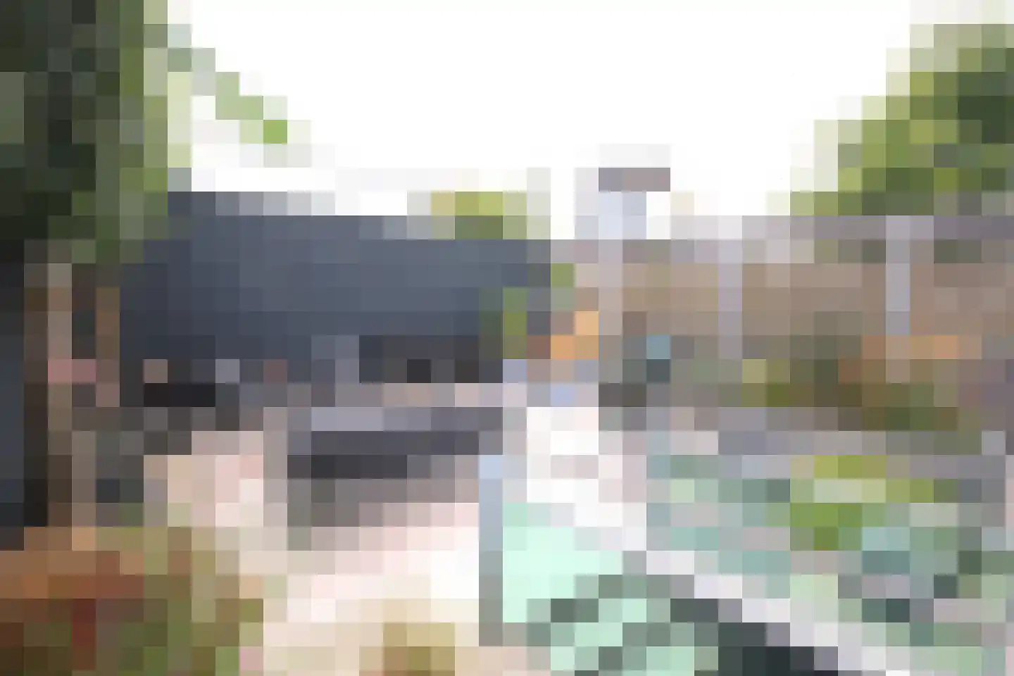 Verlaet 22 Lemmer thumbnail 20