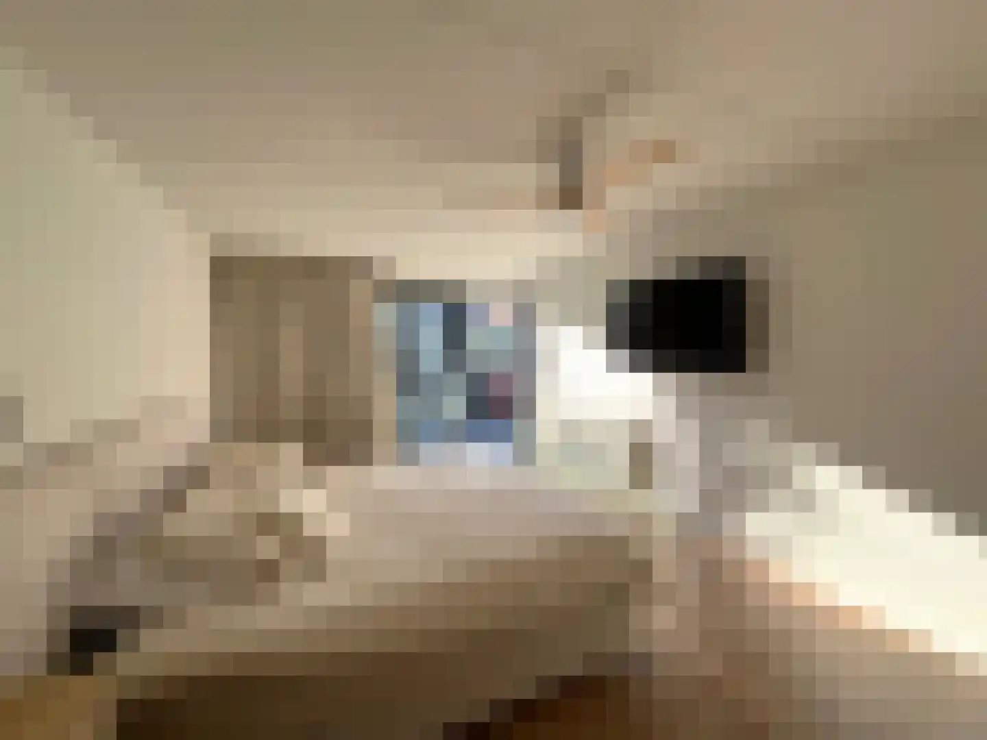 Verlaet 22 Lemmer thumbnail 26