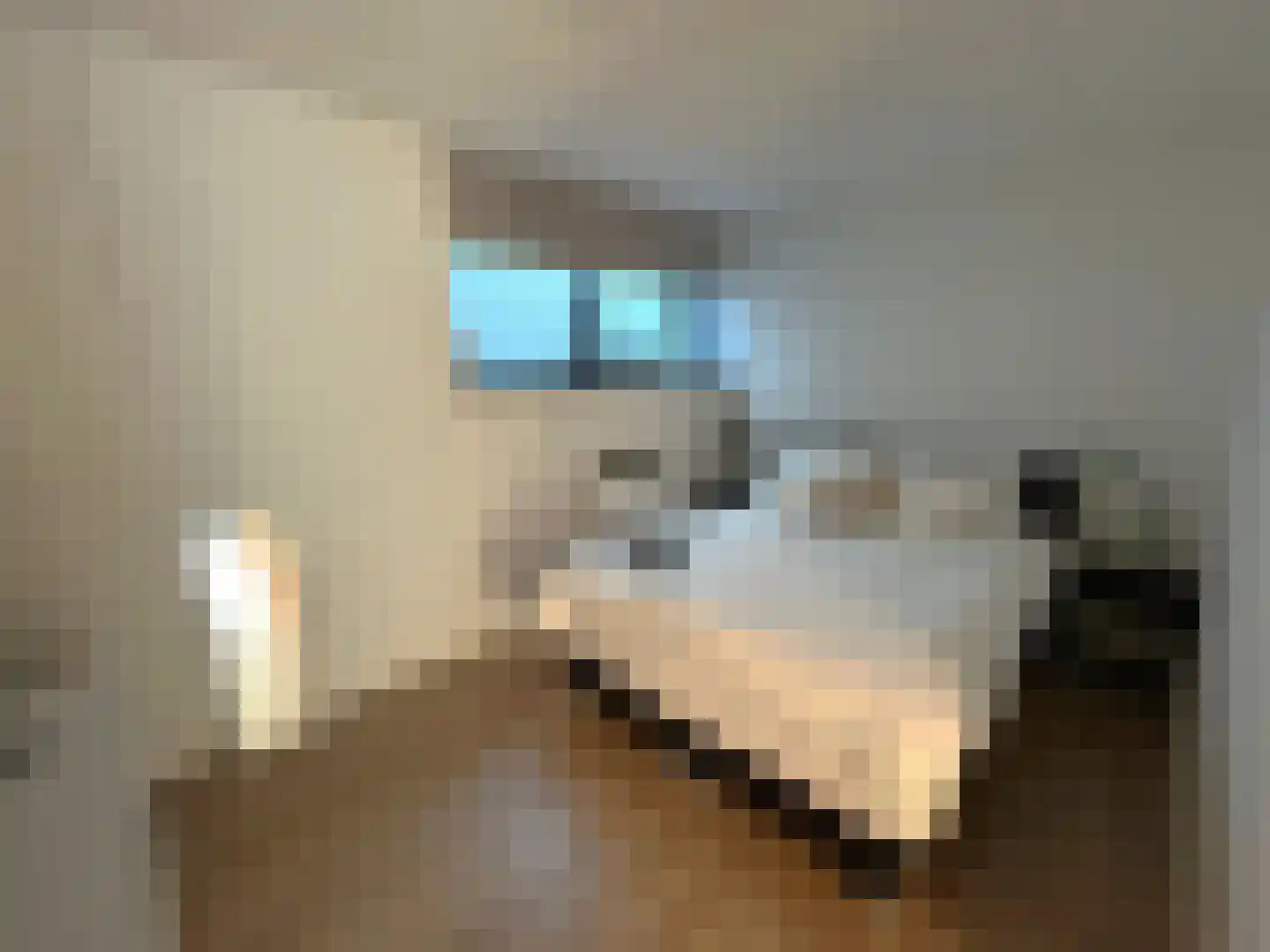 Verlaet 22 Lemmer thumbnail 30