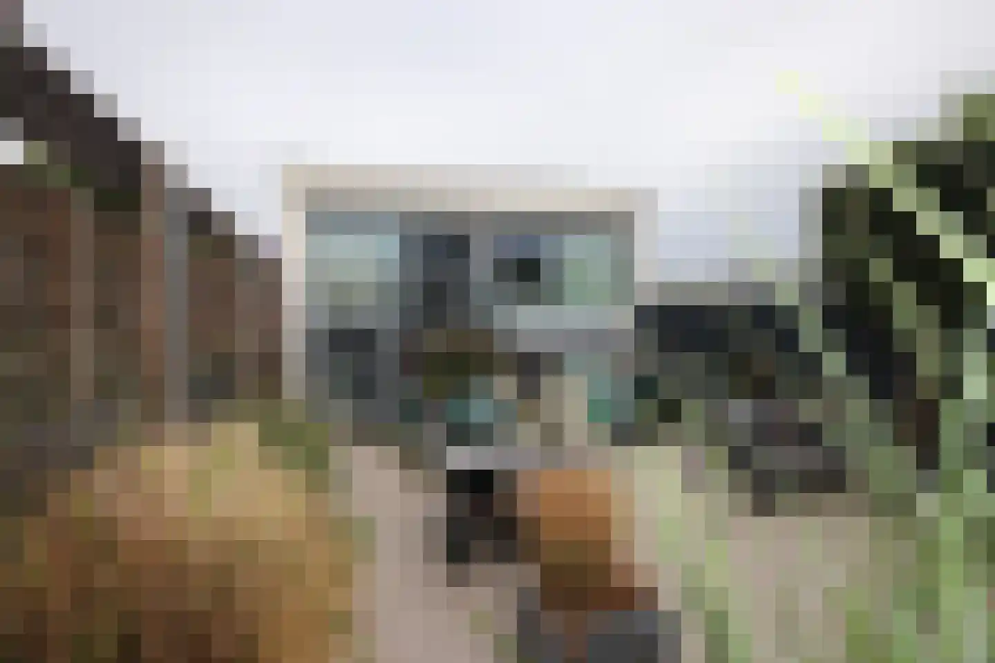 Verlaet 22 Lemmer thumbnail 7