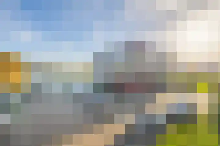 Verlaet 52 Lemmer thumbnail 36