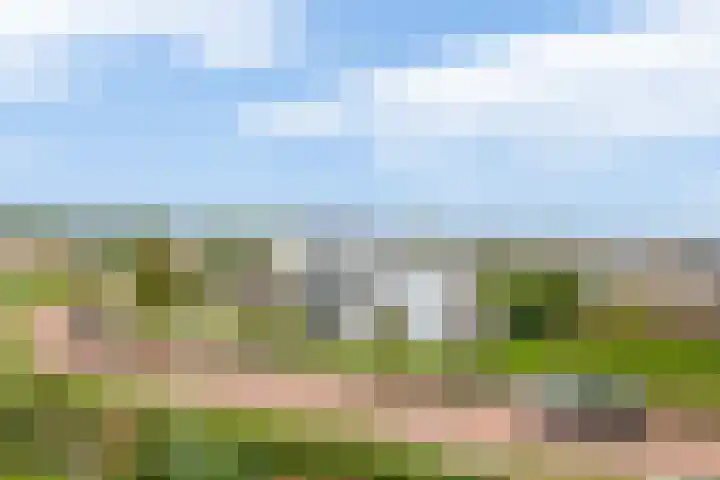 Verlaet 52 Lemmer thumbnail 43