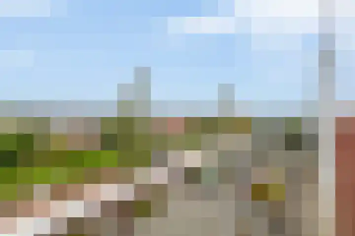 Verlaet 52 Lemmer thumbnail 44