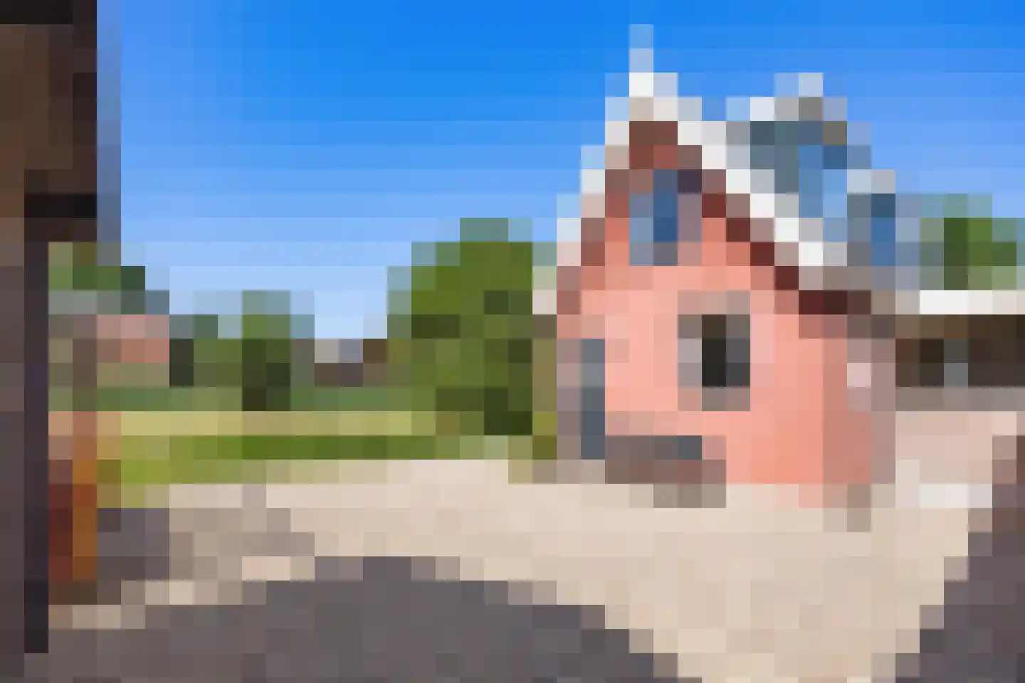 Verlengd Buitenveer 11 a Weesp thumbnail 37