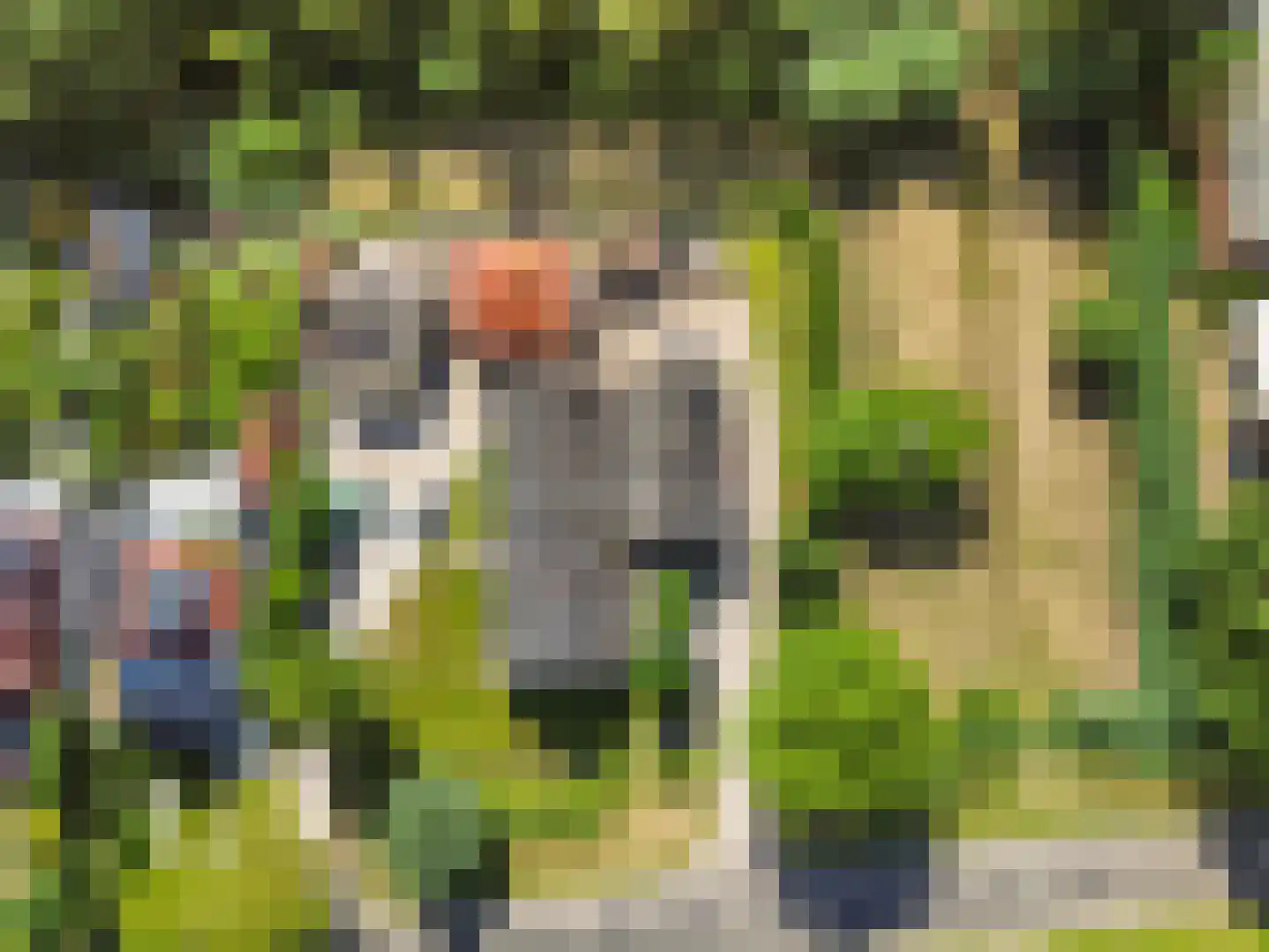Verlengd Buitenveer 11 a Weesp thumbnail 44