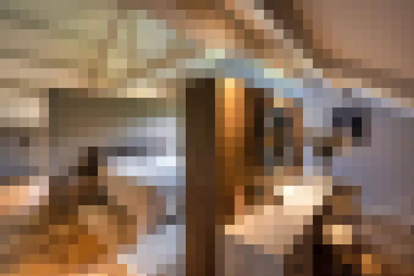 Verlengd Rozenlaantje 5 Laren thumbnail 11