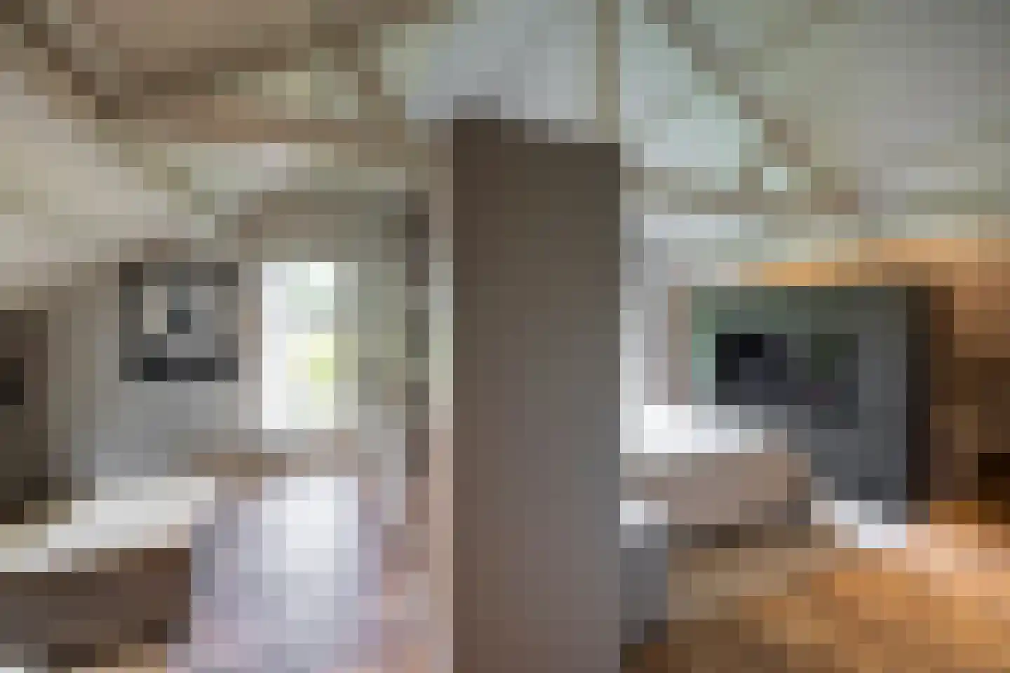 Verlengd Rozenlaantje 5 Laren thumbnail 12