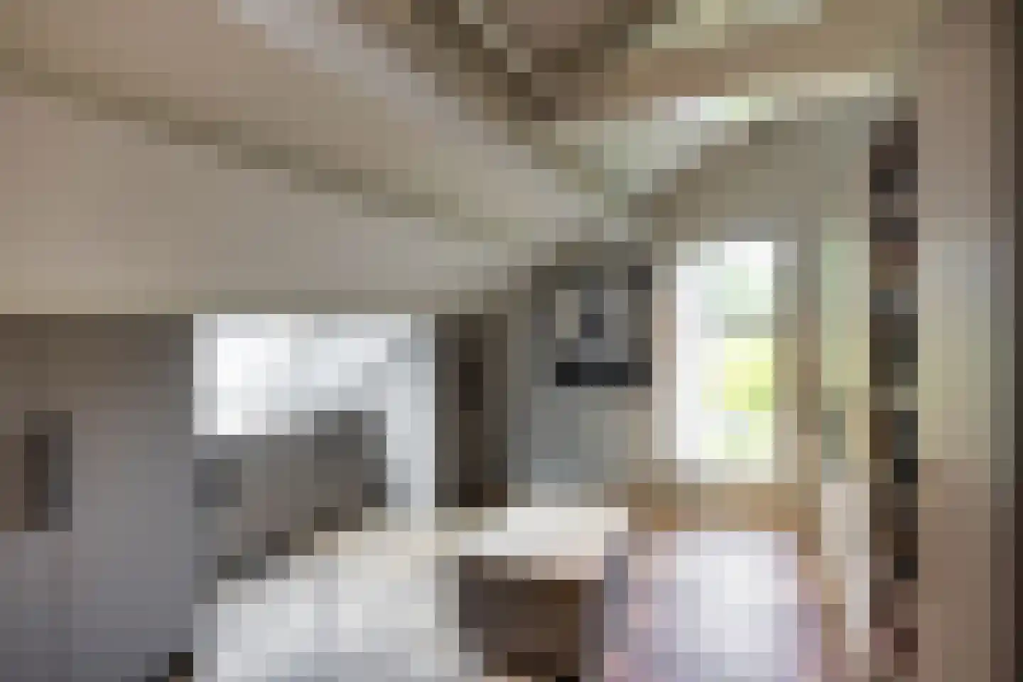 Verlengd Rozenlaantje 5 Laren thumbnail 14