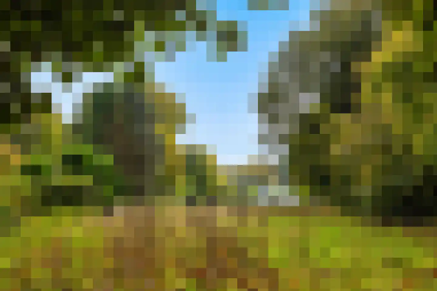 Verlengd Rozenlaantje 5 Laren thumbnail 15