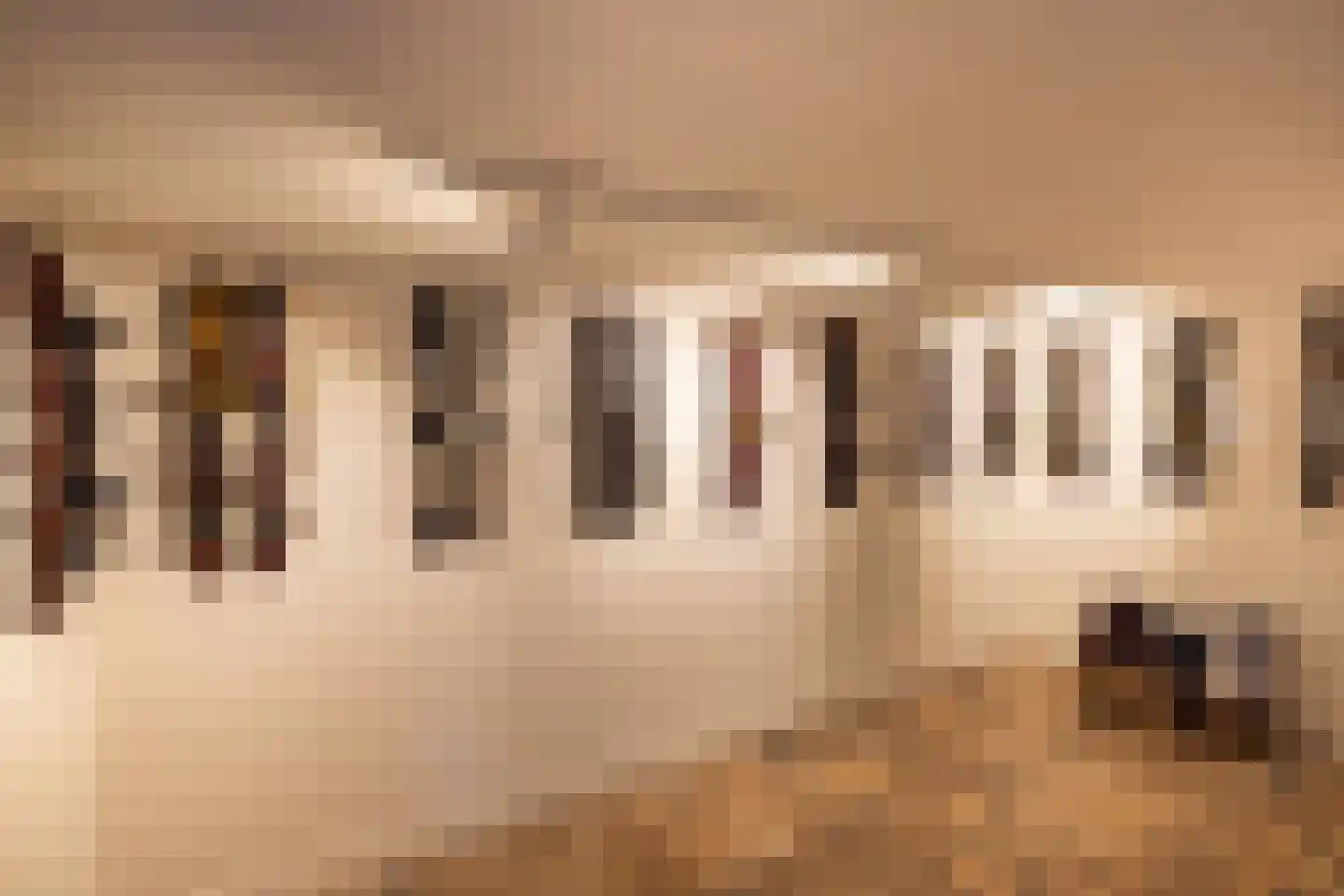 Verlengd Rozenlaantje 5 Laren thumbnail 20