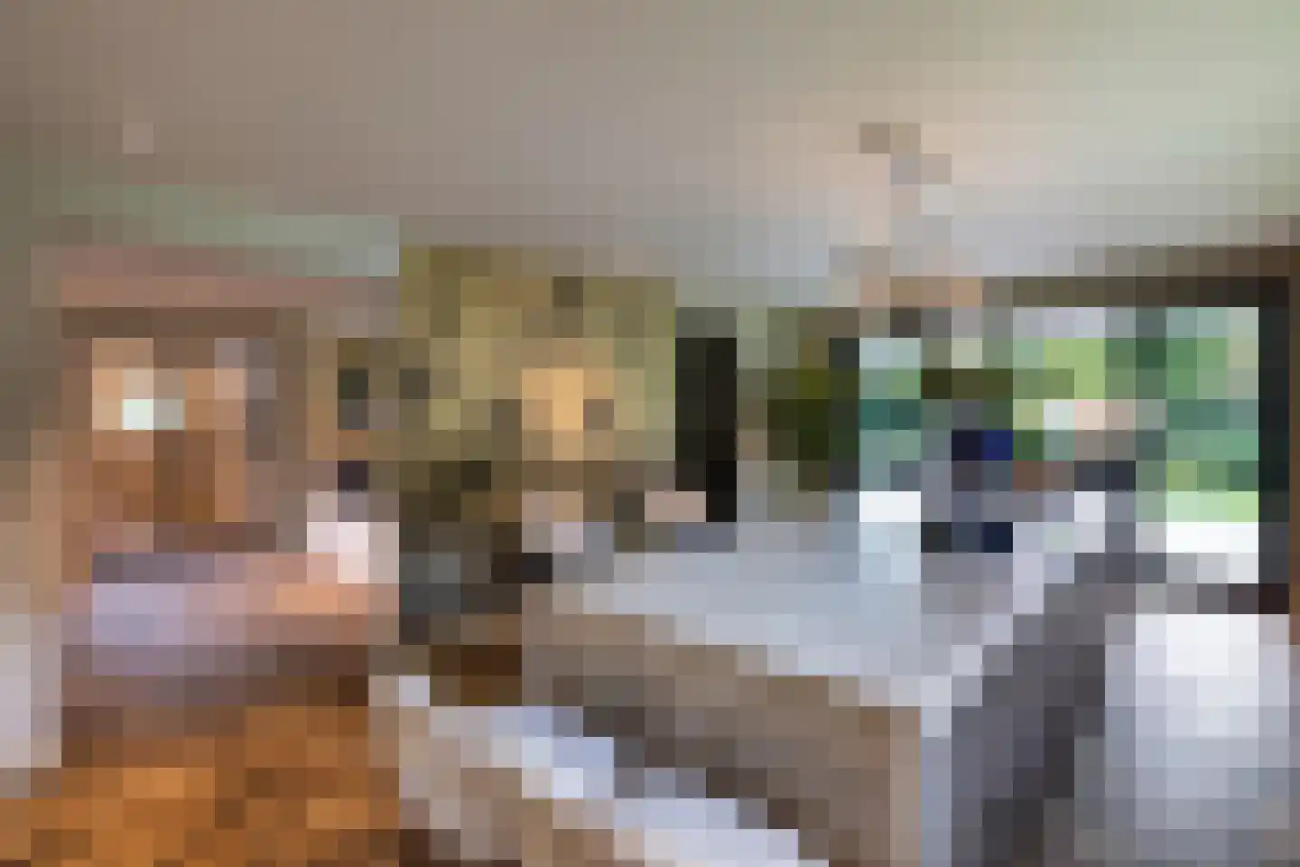 Verlengd Rozenlaantje 5 Laren thumbnail 5