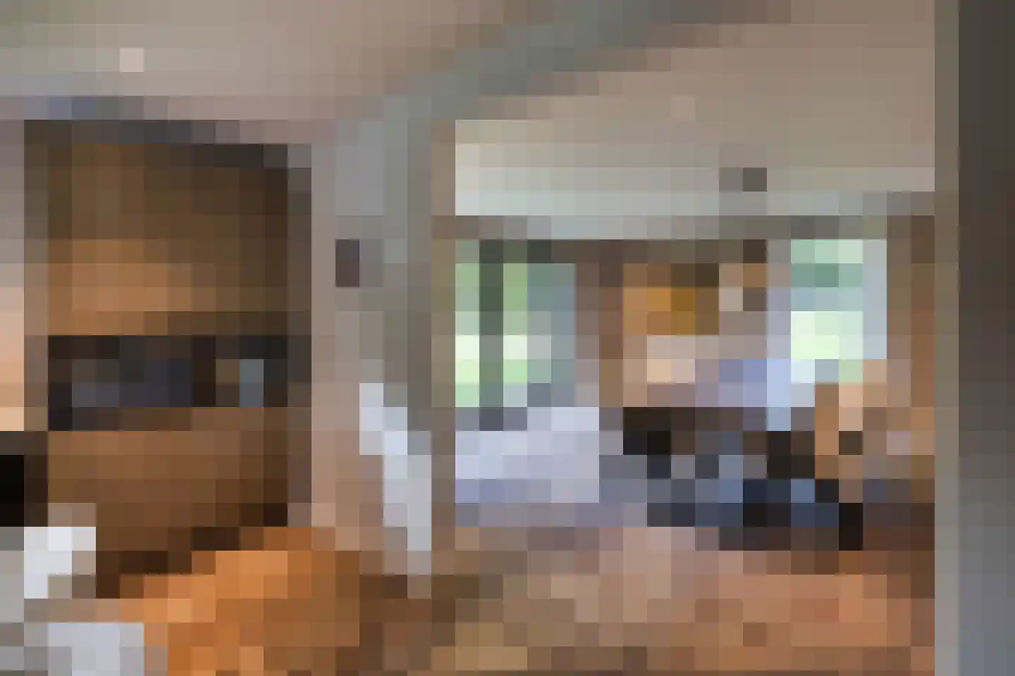 Verlengd Rozenlaantje 5 Laren thumbnail 8