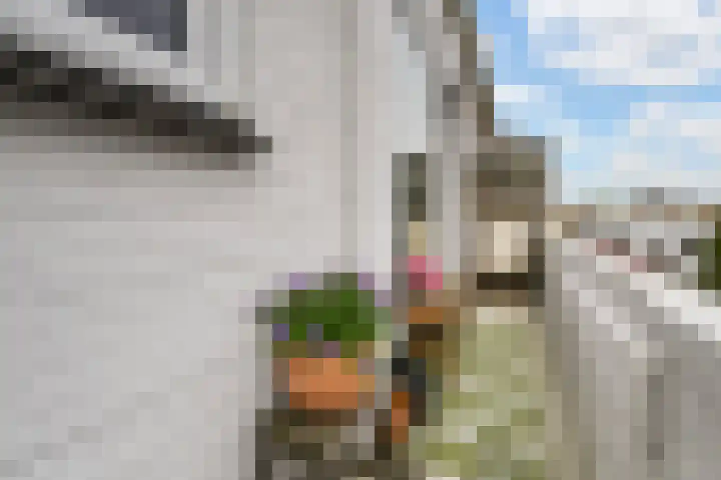 Verlengde 2e Braamstraat 36 Den Haag thumbnail 15