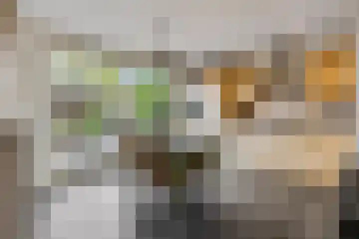 Verlengde Acacialaan 25 Rhenen thumbnail 13