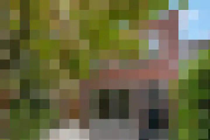 Verlengde Acacialaan 25 Rhenen thumbnail 34