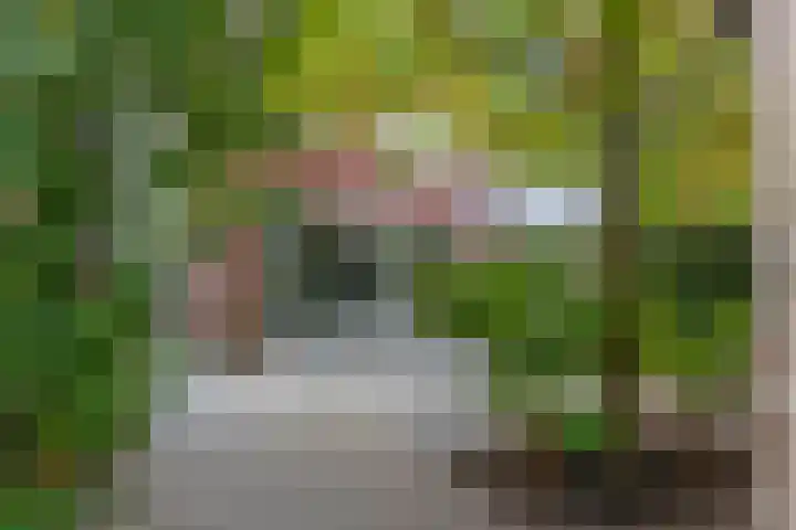 Verlengde Acacialaan 25 Rhenen thumbnail 35