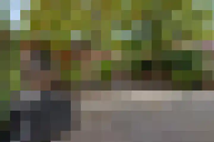 Verlengde Acacialaan 25 Rhenen thumbnail 36