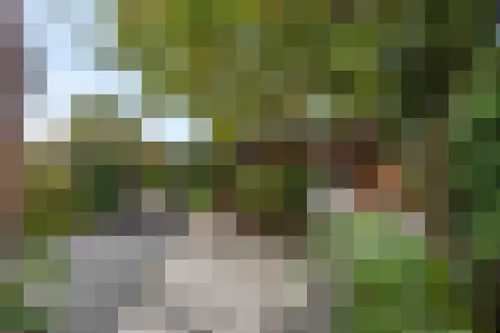 Verlengde Acacialaan 25 Rhenen thumbnail 37