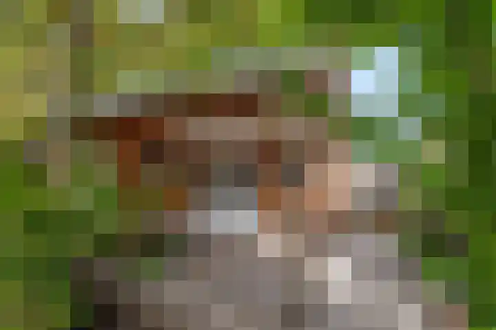 Verlengde Acacialaan 25 Rhenen thumbnail 38