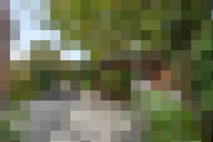Verlengde Acacialaan 25 Rhenen thumbnail 4