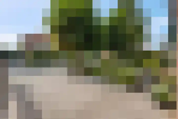 Verlengde Acacialaan 25 Rhenen thumbnail 42