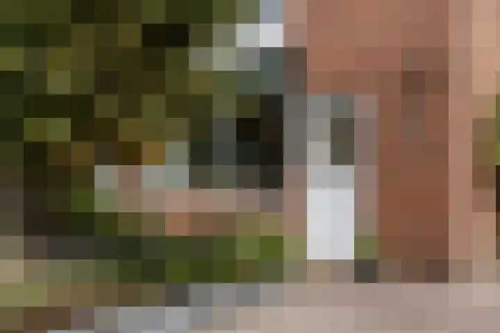 Verlengde Acacialaan 25 Rhenen thumbnail 6