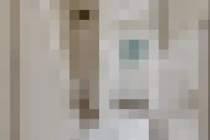 Verlengde Acacialaan 25 Rhenen thumbnail 8