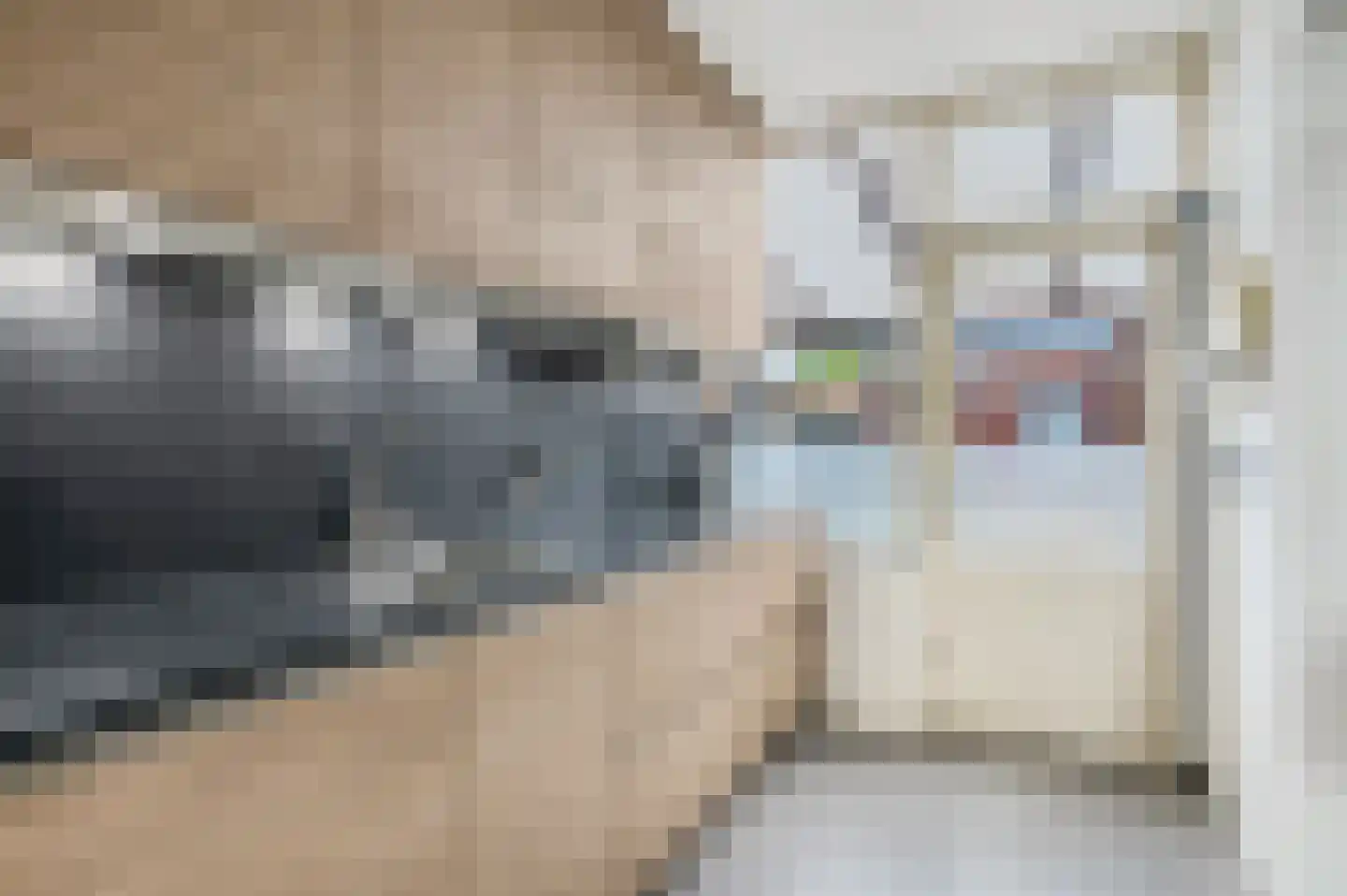 Verlengde Acacialaan 7 Rhenen thumbnail 13