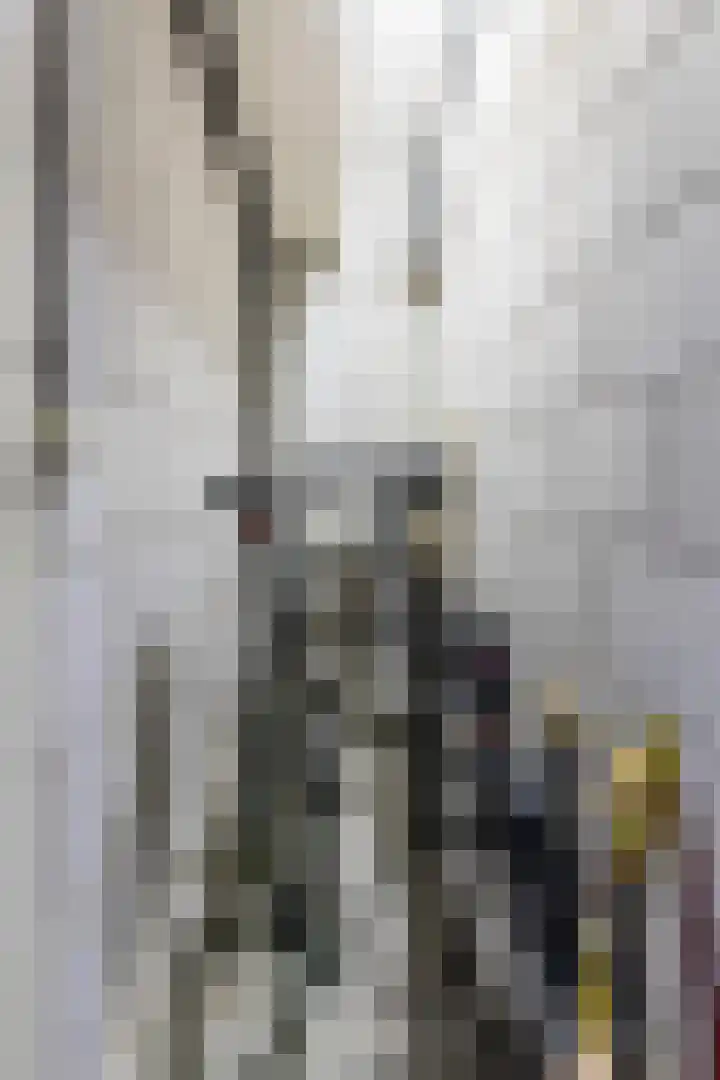 Verlengde Amsterdamseweg 36 Ede thumbnail 27