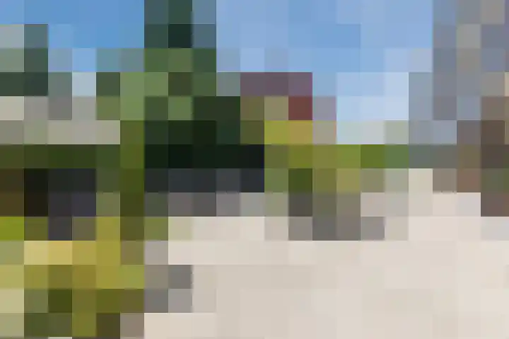 Verlengde Amsterdamseweg 36 Ede thumbnail 6