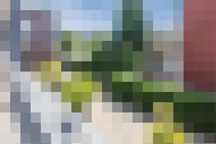 Verlengde Amsterdamseweg 36 Ede thumbnail 9