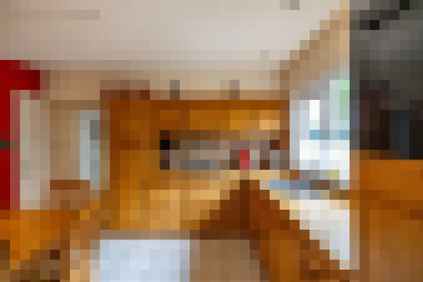Verlengde Asserstraat 71 Gieten thumbnail 11