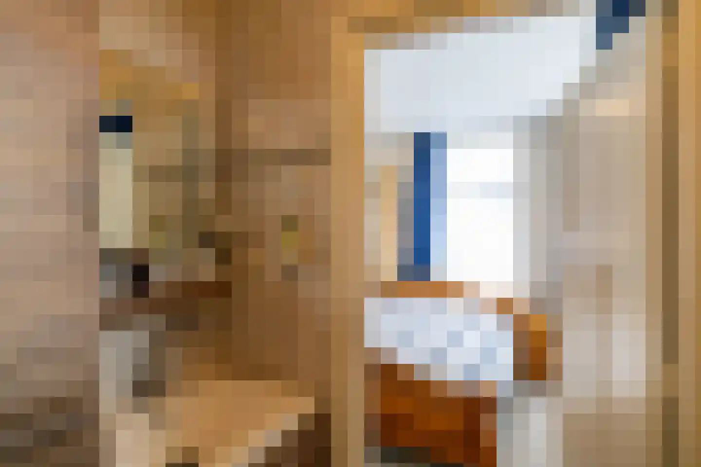 Verlengde Asserstraat 71 Gieten thumbnail 19