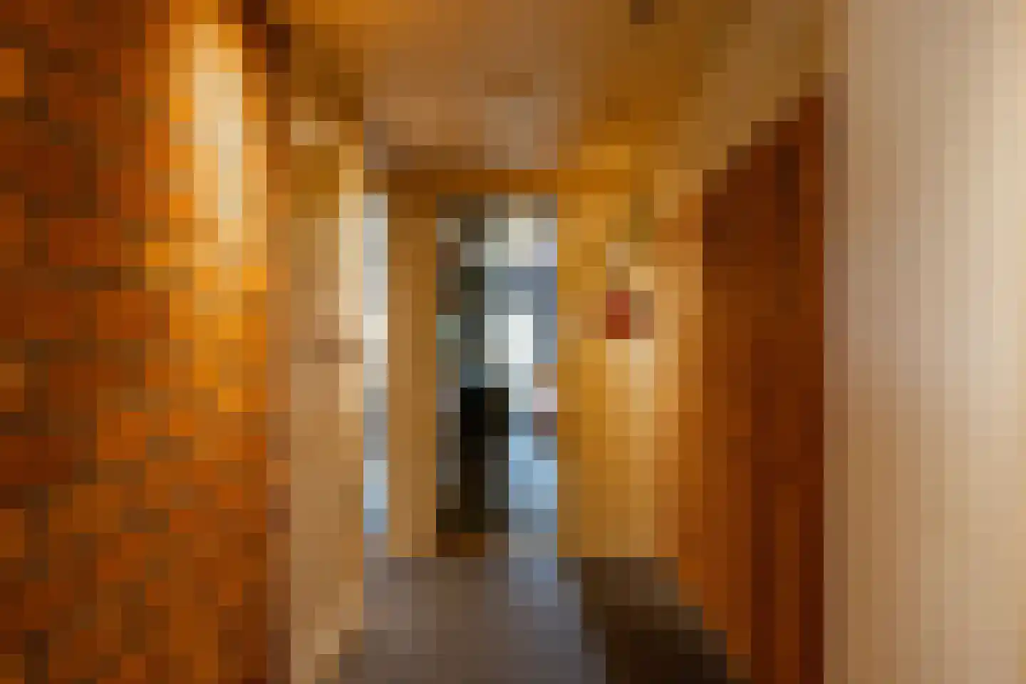 Verlengde Asserstraat 71 Gieten thumbnail 23