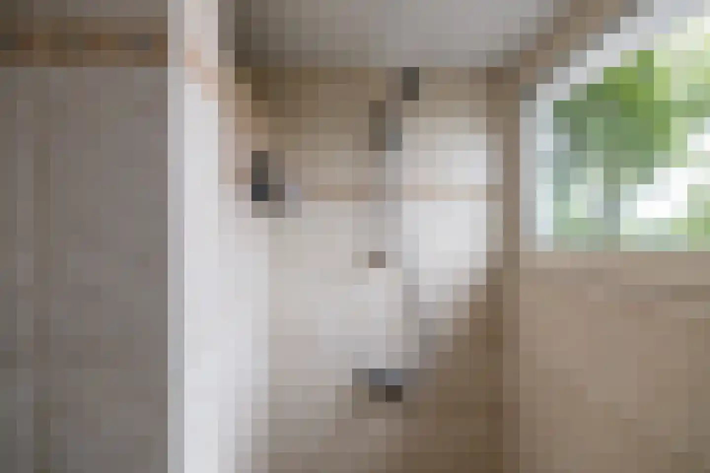 Verlengde Asserstraat 71 Gieten thumbnail 26