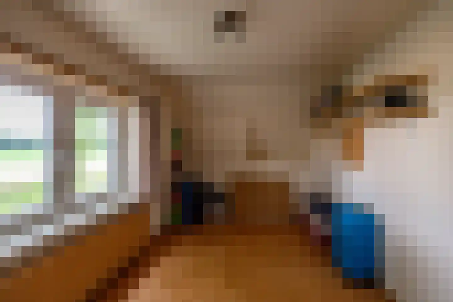 Verlengde Asserstraat 71 Gieten thumbnail 28