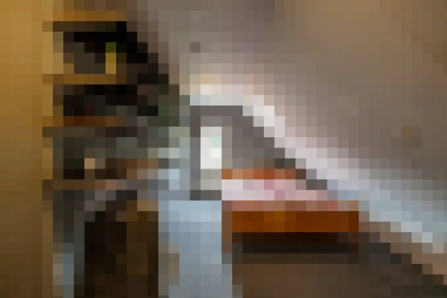 Verlengde Asserstraat 71 Gieten thumbnail 29