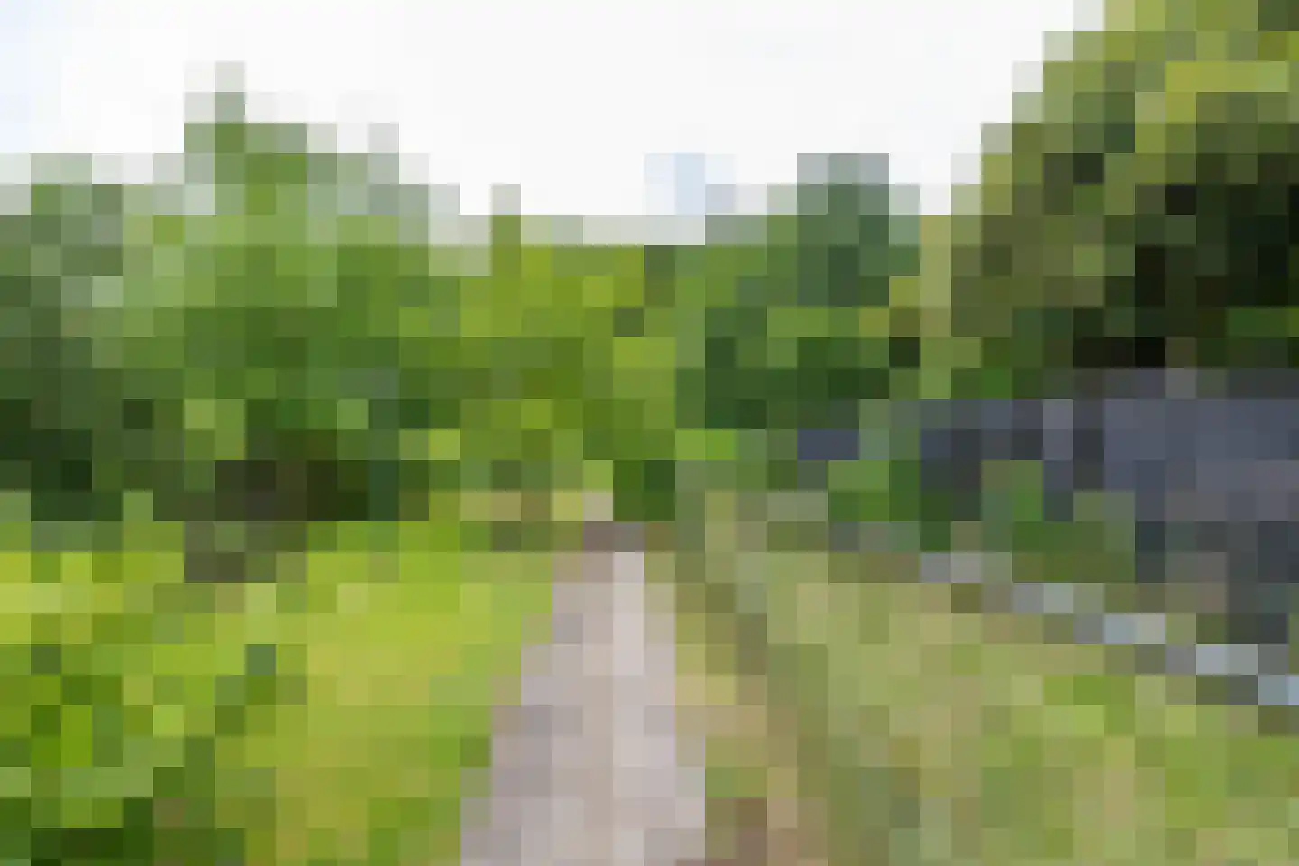 Verlengde Asserstraat 71 Gieten foto 3