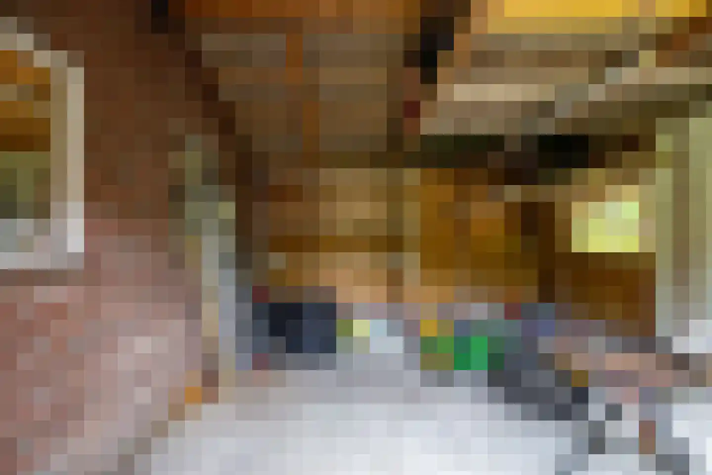 Verlengde Asserstraat 71 Gieten thumbnail 34